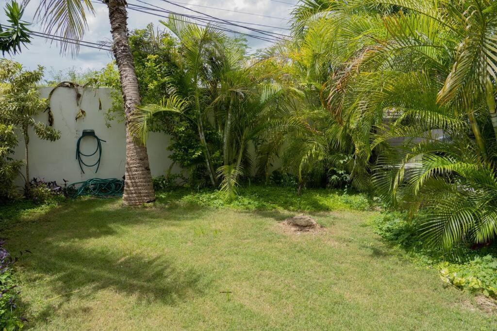 Villa Caribe باياهيبي المظهر الخارجي الصورة