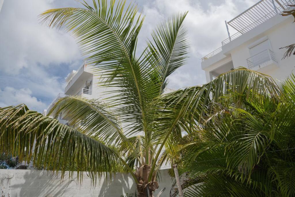 Villa Caribe باياهيبي المظهر الخارجي الصورة